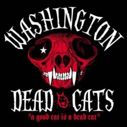 Washington Dead Cats : A Good Cat Is a Dead Cat